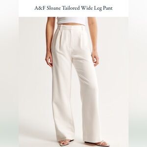 Abercrombie Sloane Tailored Wide Leg Pant